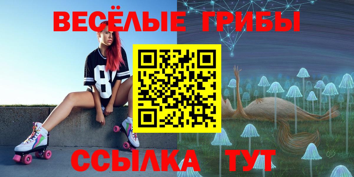 Галлюциногенные грибы Psilocybe  Вход с VPN  Пермь 